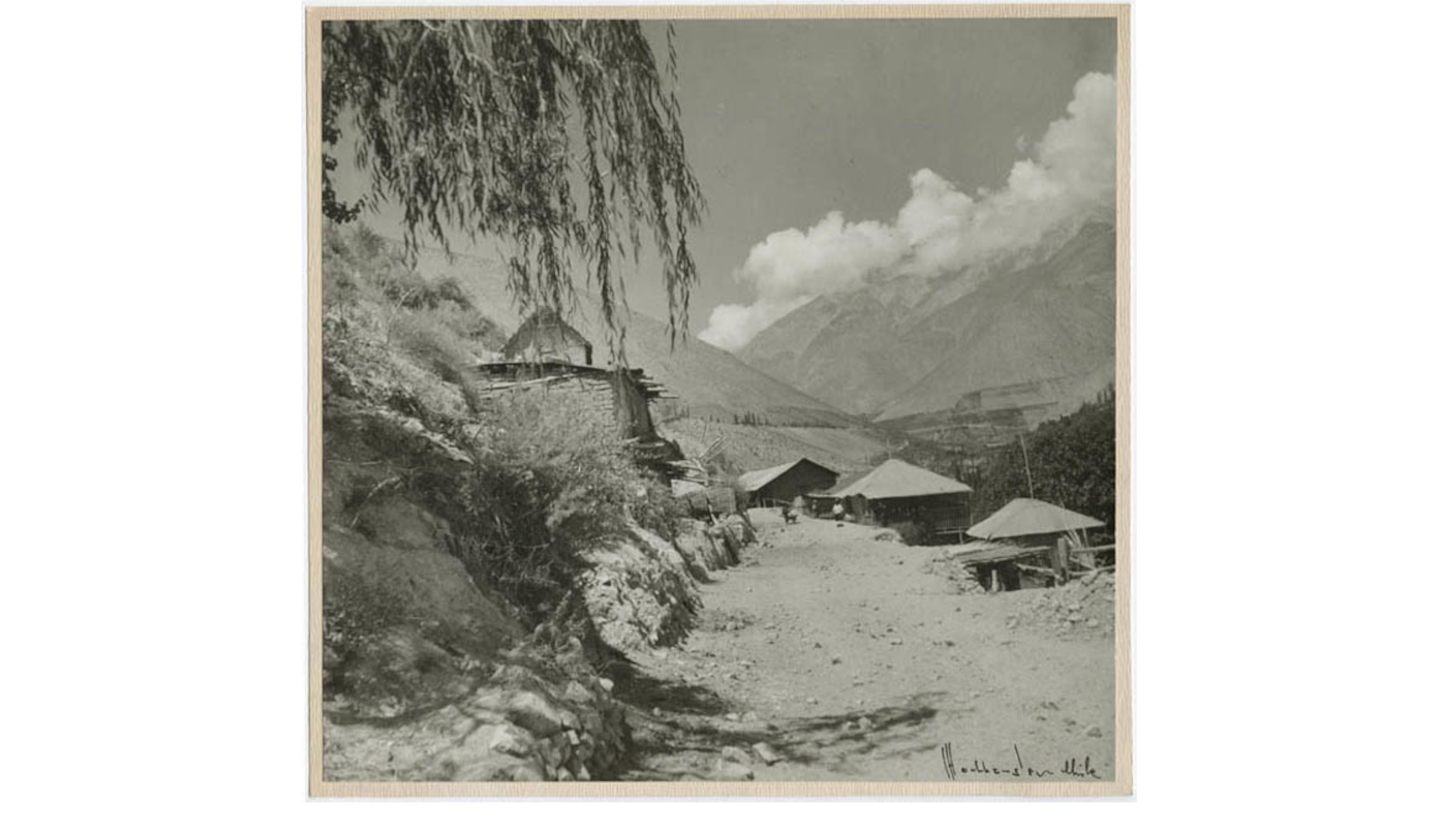 Elqui
