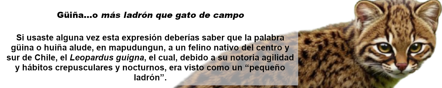 guiña