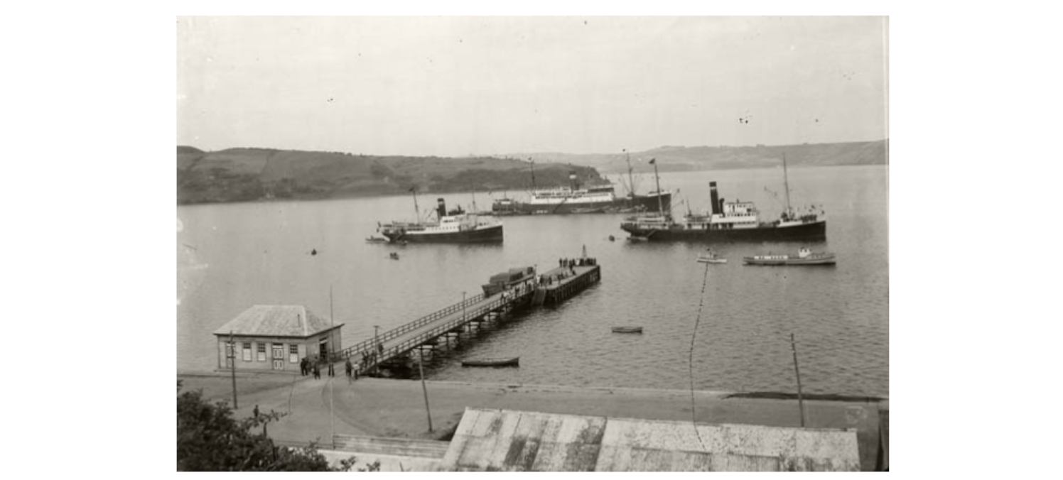 “Muelle” SURDOC ID 31-401