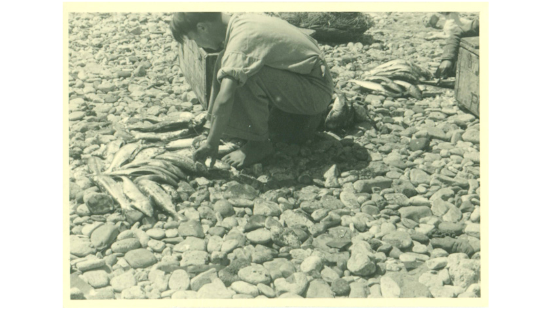 Pescador