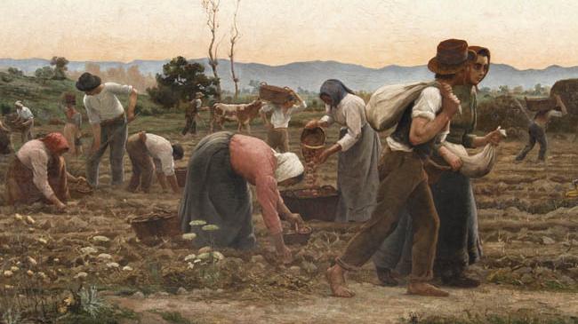Pintura, Museo O'Higginiano y de Bellas Artes de Talca Pintura, Cosecha de papas, Pedro Jofré
Registro SURDOC 7-148