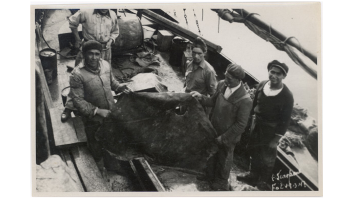 Pescadores