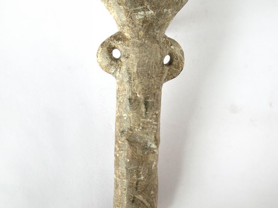 Pifilka del Museo Nacional de Historia Natural
