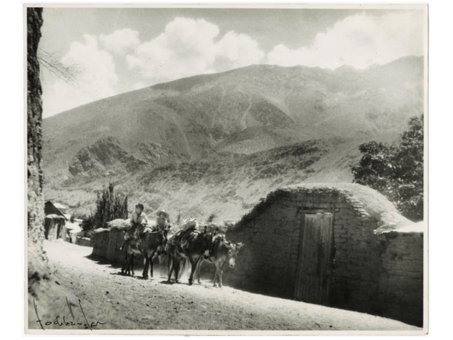 Elqui