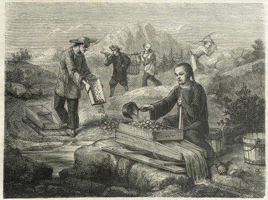 Figura 1: Culíes trabajando en la minería en San Francisco en la década de 1850.