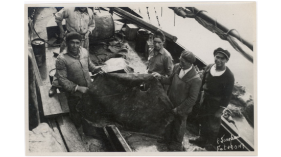 Pescadores