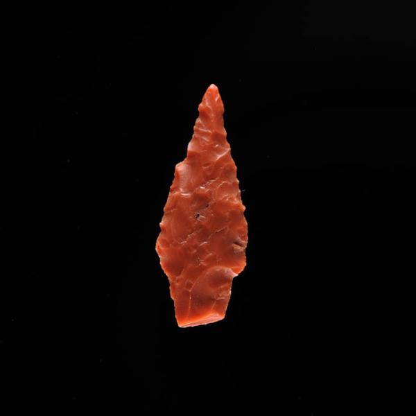 Micropunta Micropunta